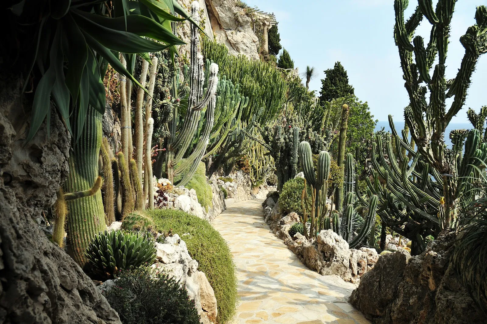 The Best Viewpoints in Monaco